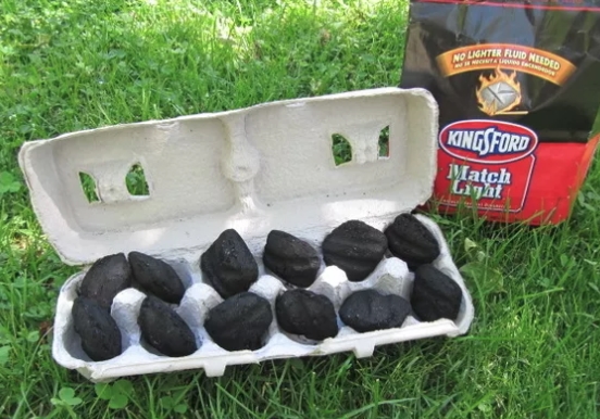 charcoal in egg carton camping hack