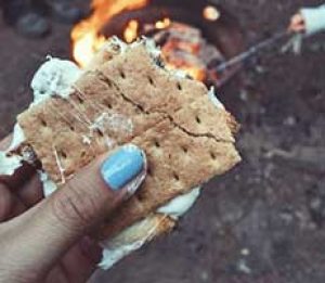 hand holding s'mores over a campfire