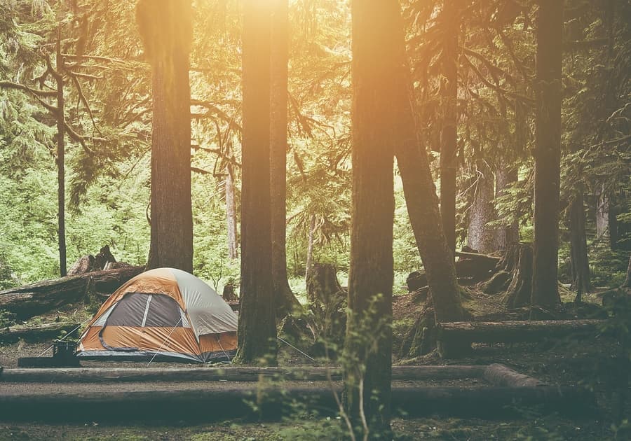 perfect campsite overlooking a gorgeous view with a tent and trees
