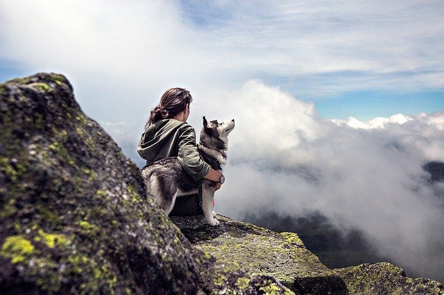 husky puppy with its owner on a hike during a camping trip and keeping warm